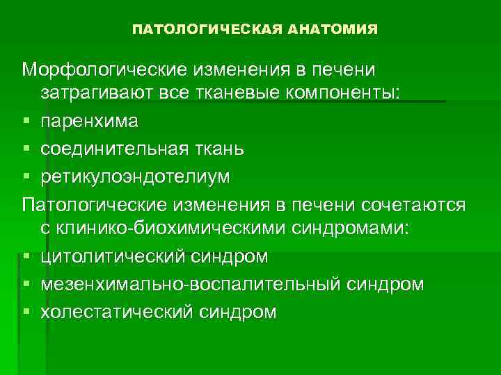 ПАТОЛОГИЧЕСКАЯ АНАТОМИЯ Морфологические изменения в печени затрагивают все тканевые компоненты: § паренхима § соединительная