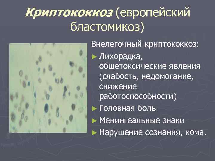 Криптококкоз (европейский бластомикоз) Внелегочный криптококкоз: ► Лихорадка, общетоксические явления (слабость, недомогание, снижение работоспособности) ►