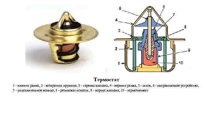 Термостат 1 - нижняя рамка, 2 - возвратная пружина, 3 - тарелка клапана, 4