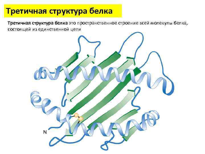 3 структура белка