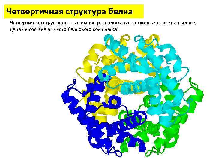 4 структуры белков