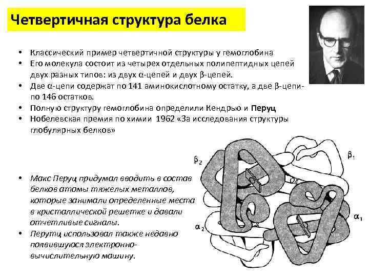 Рисунок четвертичной структуры белка