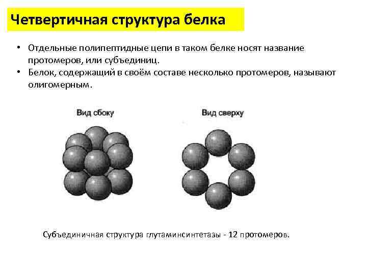 Описание 4 структура белков