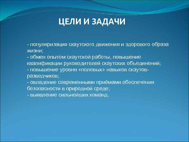 ЦЕЛИ И ЗАДАЧИ - популяризация скаутского движения и здорового образа жизни; - обмен опытом