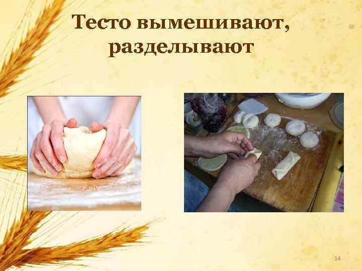 Тесто вымешивают, разделывают 14 