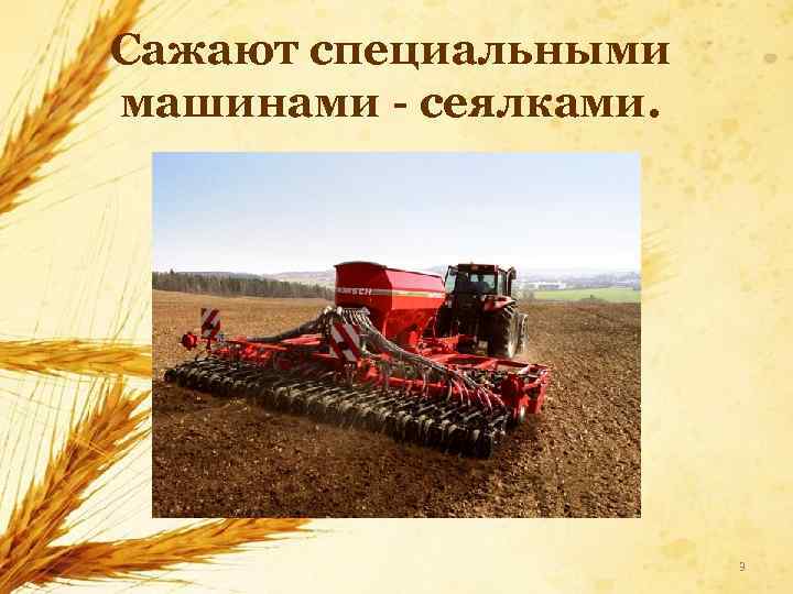 Сажают специальными машинами - сеялками. 3 
