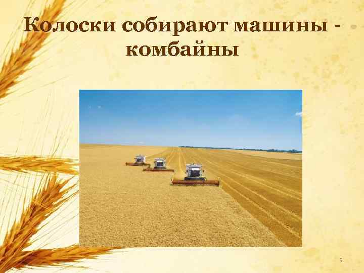 Колоски собирают машины - комбайны 5 