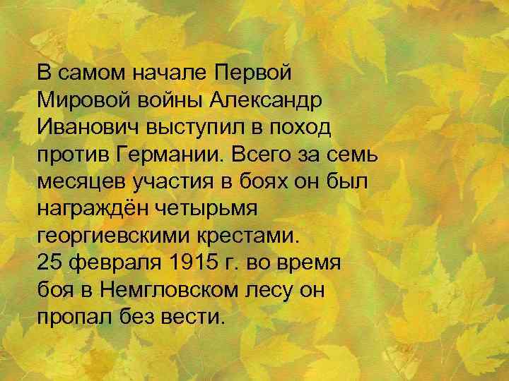 В самом начале Первой Мировой войны Александр Иванович выступил в поход против Германии. Всего