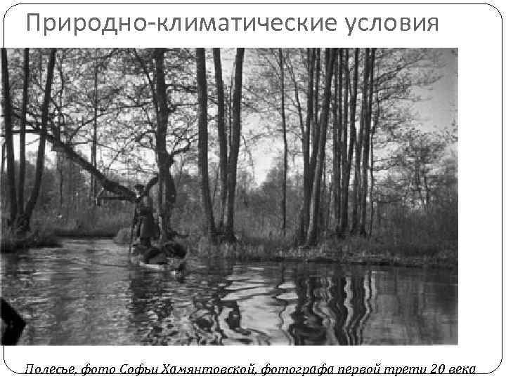 Природно-климатические условия Полесье, фото Софьи Хамянтовской, фотографа первой трети 20 века 