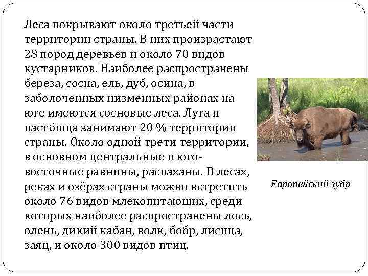 Леса покрывают около третьей части территории страны. В них произрастают 28 пород деревьев и