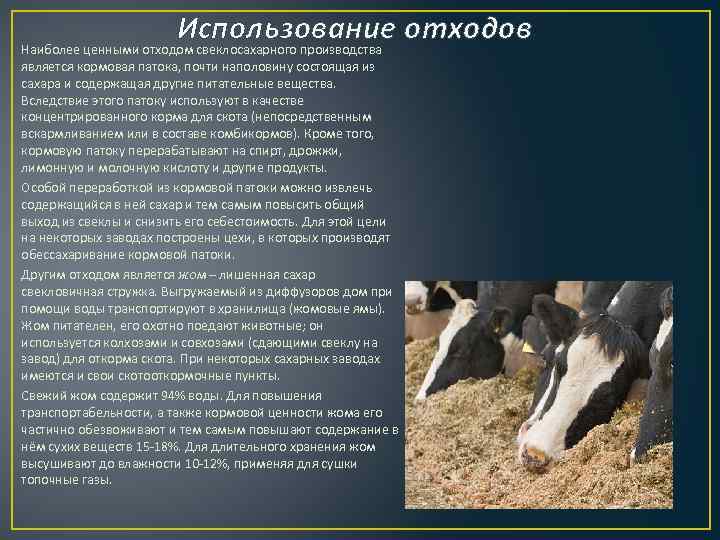 Использование отходов Наиболее ценными отходом свеклосахарного производства является кормовая патока, почти наполовину состоящая из