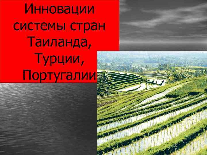 Инновации системы стран Таиланда, Турции, Португалии 