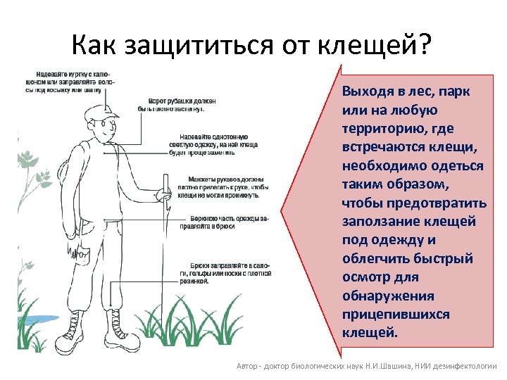 Как защититься от клещей? Выходя в лес, парк или на любую территорию, где встречаются