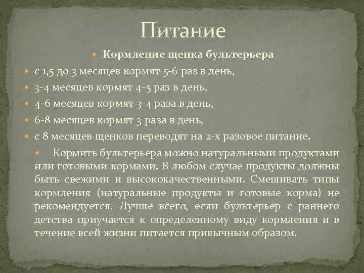 Питание Кормление щенка бультерьера с 1, 5 до 3 месяцев кормят 5 -6 раз