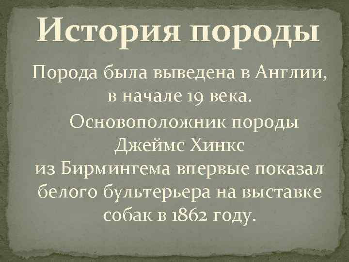 История породы Порода была выведена в Англии, в начале 19 века. Основоположник породы Джеймс