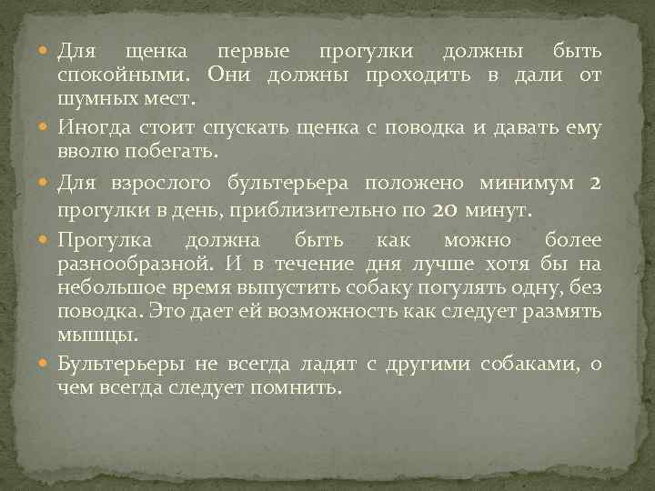  Для щенка первые прогулки должны быть спокойными. Они должны проходить в дали от