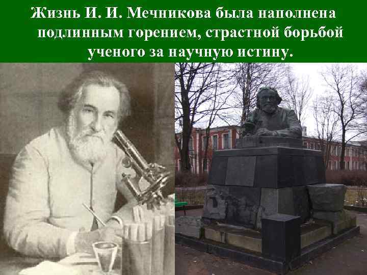 Жизнь И. И. Мечникова была наполнена подлинным горением, страстной борьбой ученого за научную истину.