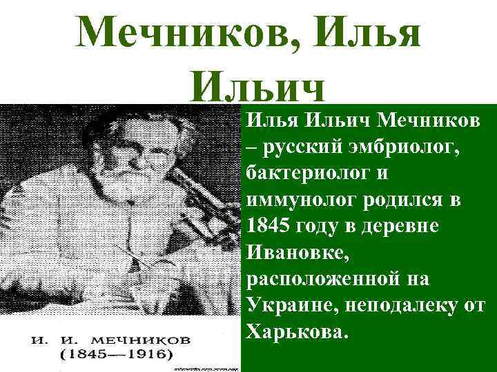 Мечников, Илья Ильич Мечников – русский эмбриолог, бактериолог и иммунолог родился в 1845 году