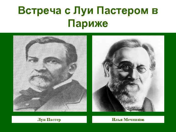 Встреча с Луи Пастером в Париже Луи Пастер Илья Мечников 