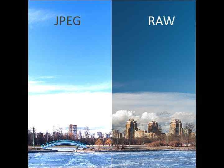 JPEG RAW 