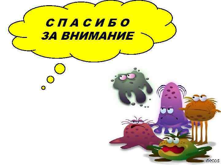 СПАСИБО ЗА ВНИМАНИЕ 