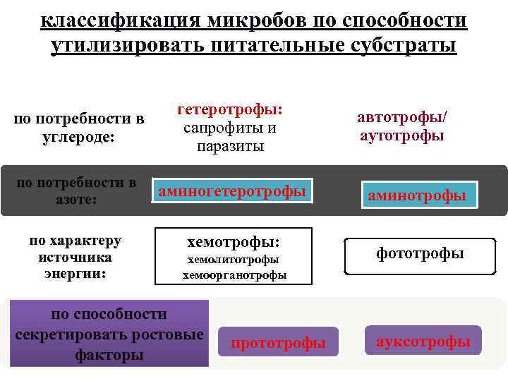 классификация микробов по способности утилизировать питательные субстраты по потребности в углероде: гетеротрофы: сапрофиты и