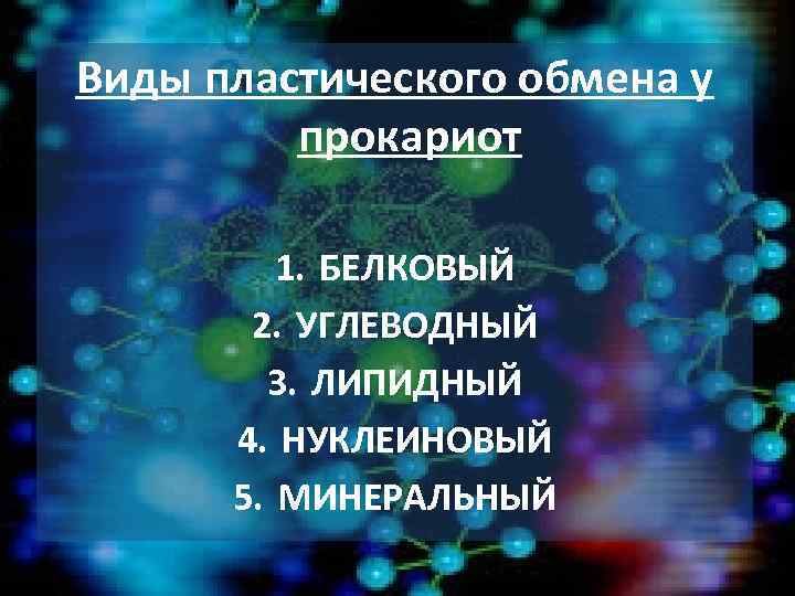 Виды пластического обмена у прокариот 1. БЕЛКОВЫЙ 2. УГЛЕВОДНЫЙ 3. ЛИПИДНЫЙ 4. НУКЛЕИНОВЫЙ 5.