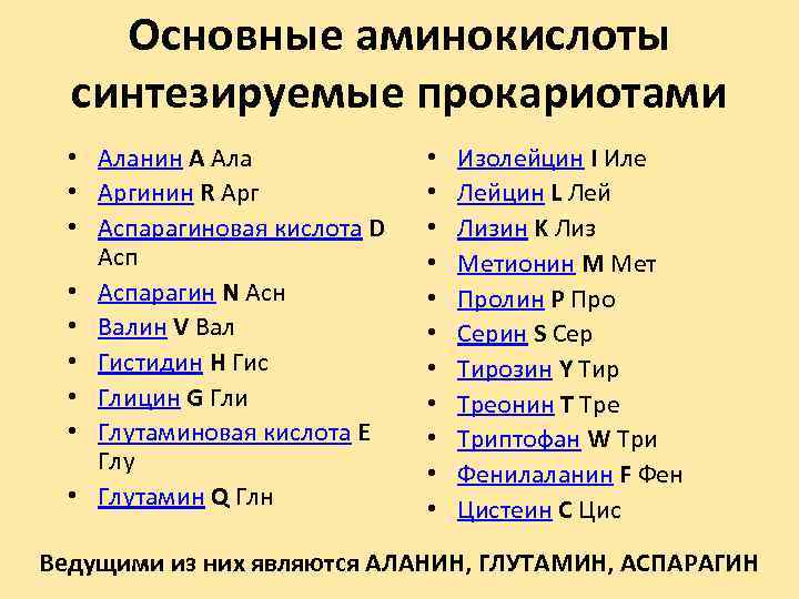 Основные аминокислоты синтезируемые прокариотами • Аланин A Ала • Аргинин R Арг • Аспарагиновая