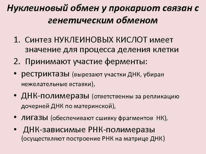 Нуклеиновый обмен у прокариот связан с генетическим обменом 1. Синтез НУКЛЕИНОВЫХ КИСЛОТ имеет значение