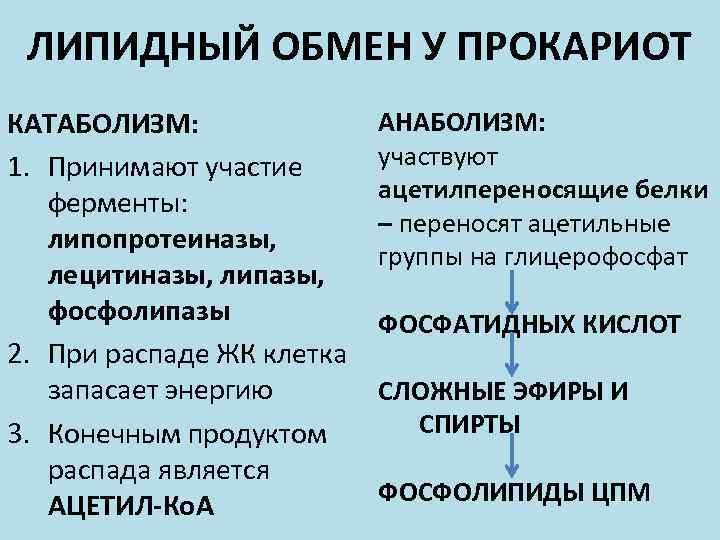 ЛИПИДНЫЙ ОБМЕН У ПРОКАРИОТ КАТАБОЛИЗМ: 1. Принимают участие ферменты: липопротеиназы, лецитиназы, липазы, фосфолипазы 2.