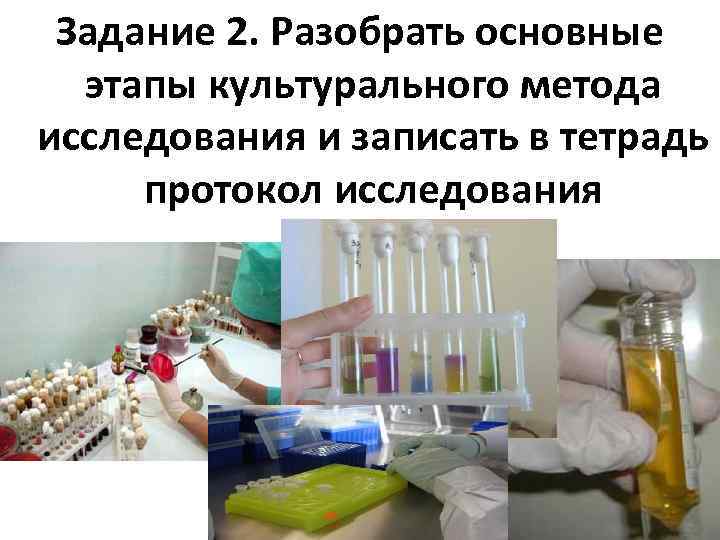 Задание 2. Разобрать основные этапы культурального метода исследования и записать в тетрадь протокол исследования