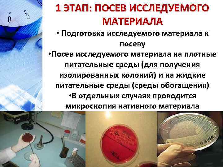 1 ЭТАП: ПОСЕВ ИССЛЕДУЕМОГО МАТЕРИАЛА • Подготовка исследуемого материала к посеву • Посев исследуемого