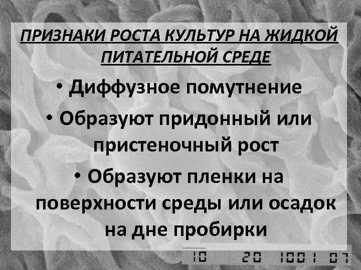 ПРИЗНАКИ РОСТА КУЛЬТУР НА ЖИДКОЙ ПИТАТЕЛЬНОЙ СРЕДЕ • Диффузное помутнение • Образуют придонный или