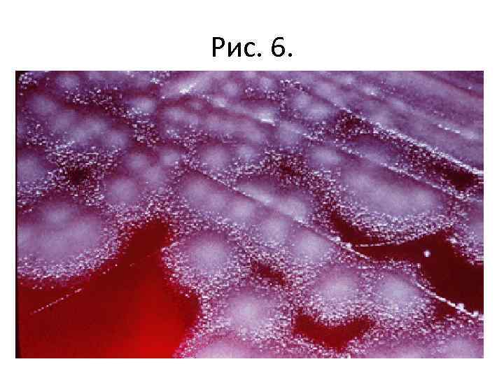 Рис. 6. 