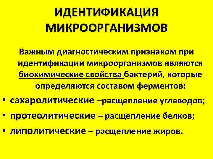 ИДЕНТИФИКАЦИЯ МИКРООРГАНИЗМОВ Важным диагностическим признаком при идентификации микроорганизмов являются биохимические свойства бактерий, которые определяются