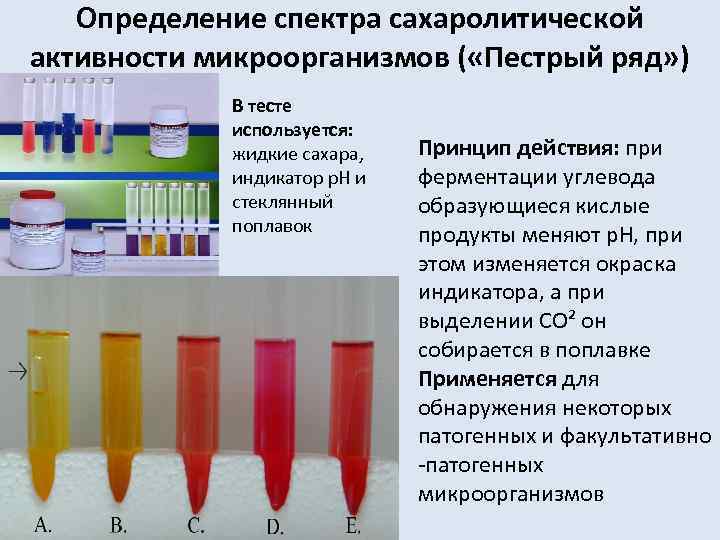 Сахаролитическая активность