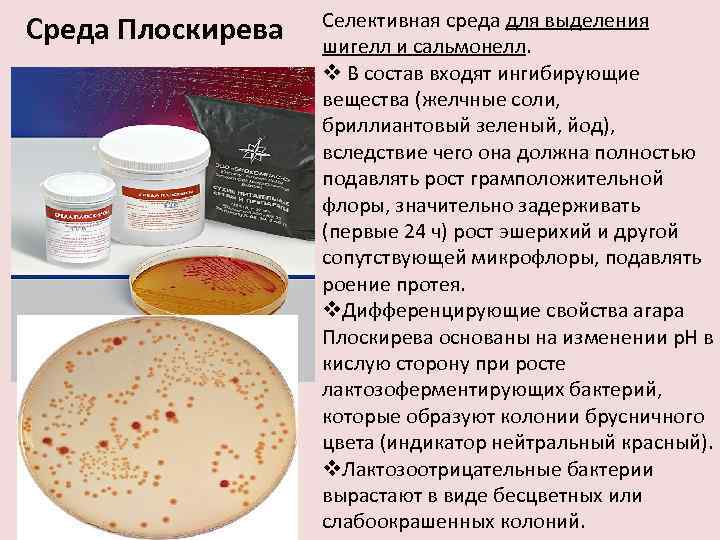 Среда Плоскирева Селективная среда для выделения шигелл и сальмонелл. v В состав входят ингибирующие