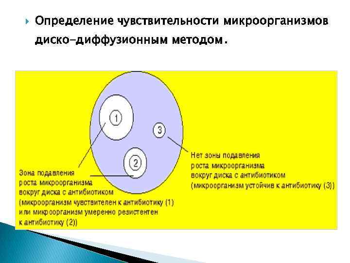  Определение чувствительности микроорганизмов диско-диффузионным методом. 