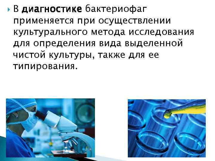  В диагностике бактериофаг применяется при осуществлении культурального метода исследования для определения вида выделенной