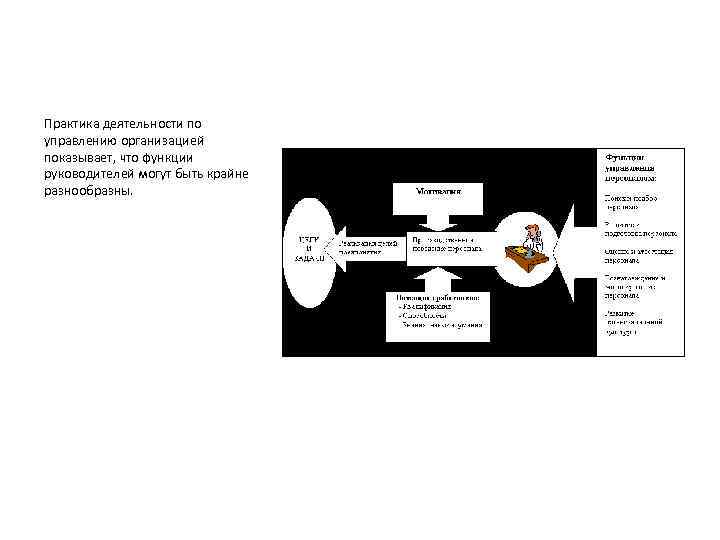 Практика деятельности по управлению организацией показывает, что функции руководителей могут быть крайне разнообразны. 