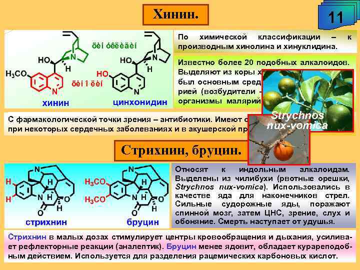 Хинин. 11 По химической классификации – производным хинолина и хинуклидина. к Известно более 20
