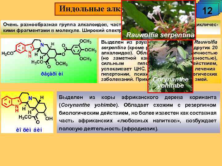 Индольные алкалоиды. 12 Очень разнообразная группа алкалоидов, часто – с несколькими азагетероциклическими фрагментами в