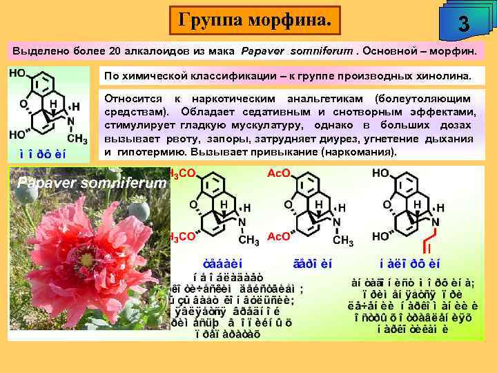 Группа морфина. 3 Выделено более 20 алкалоидов из мака Papaver somniferum. Основной – морфин.