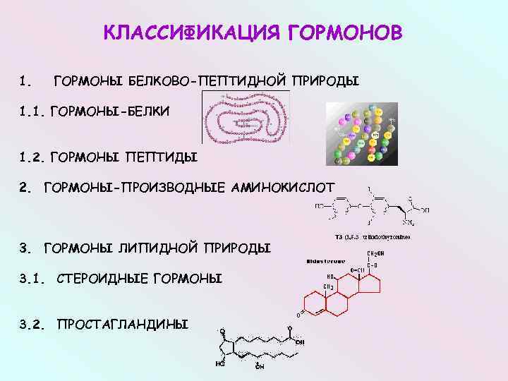 Гормоны белковой природы