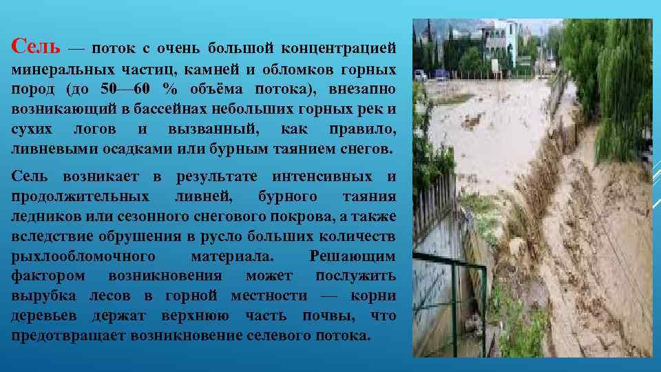Сель — поток с очень большой концентрацией минеральных частиц, камней и обломков горных пород