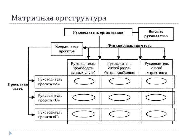 Матричная оргструктура 