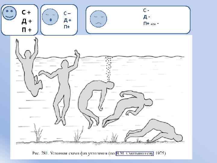 С+ Д+ П+ С– Д+ П+ СДП+ или - 