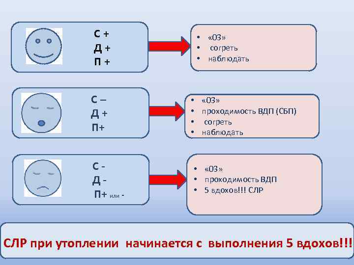 С+ Д+ П+ С – Д+ П+ С ДП+ или - • « 03»