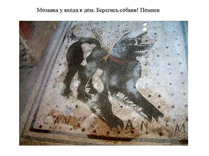 Мозаика у входа в дом. Берегись собаки! Помпеи 