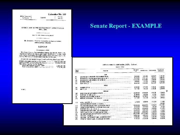Senate Report - EXAMPLE 